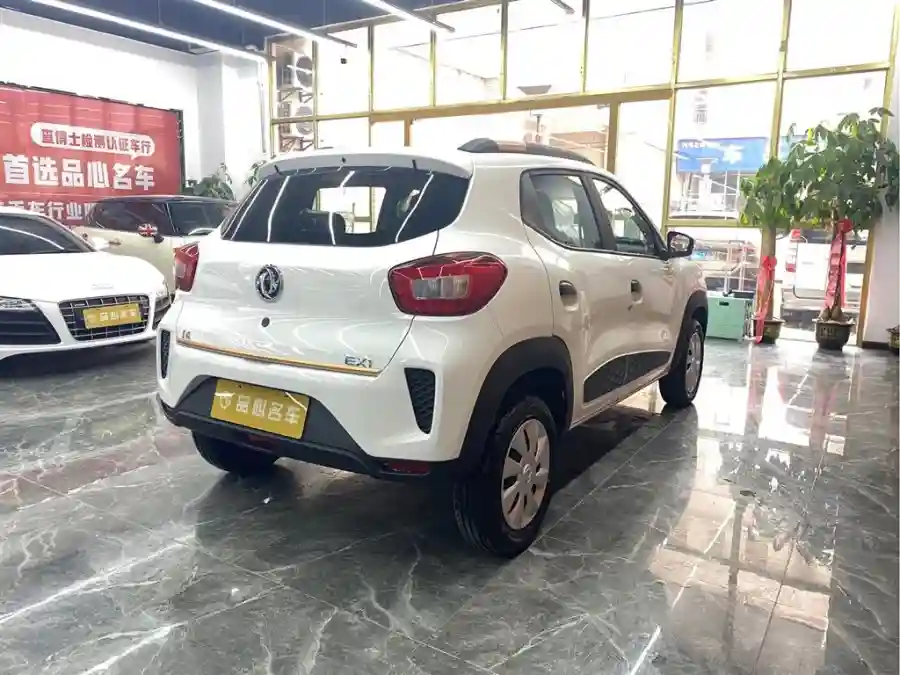  2023 DONGFENG EX1-1