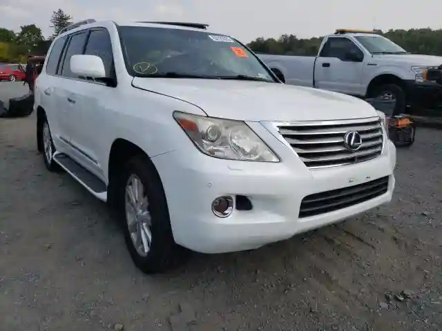 JTJHY00W384000558 2008 LEXUS LX 570-0