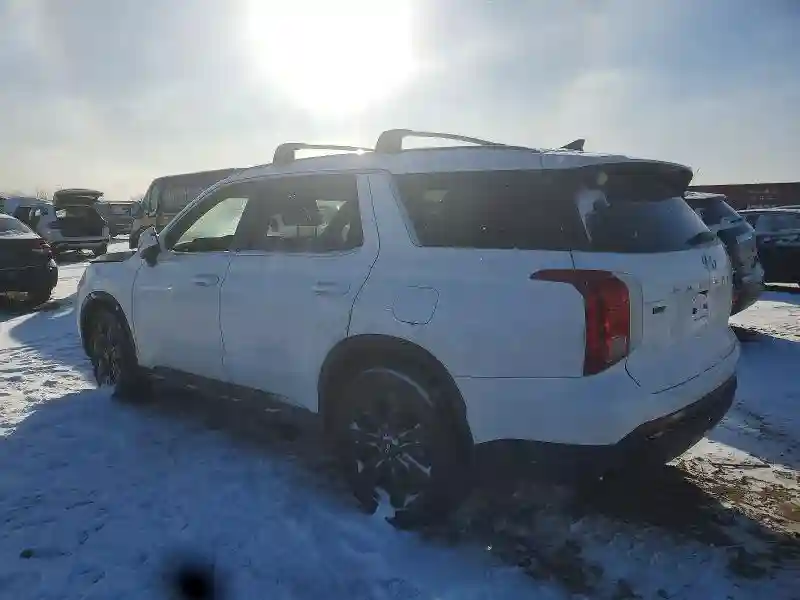 KM8R3DGE2SU927368 2025 HYUNDAI PALISADE X-1