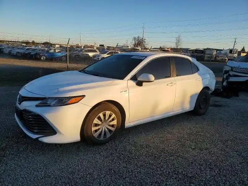 4T1B31HK4KU510323 2019 TOYOTA CAMRY-0
