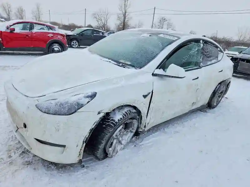 5YJYGAEE8MF231759 2021 TESLA MODEL Y-0