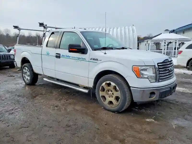 1FTFX1EV7AFC26776 2010 FORD F-150-3