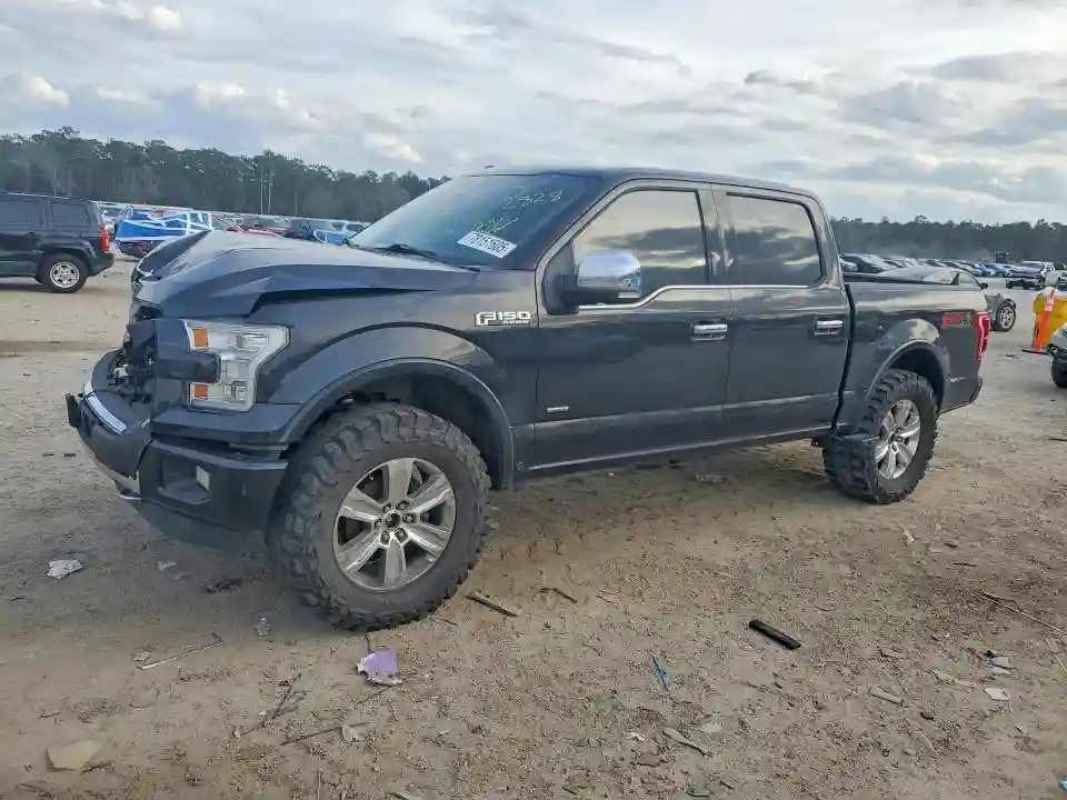 1FTEW1EG5FFB54810 2015 FORD F-150-0