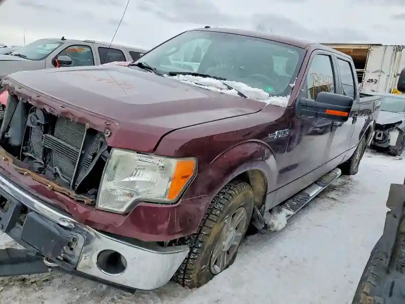1FTFW1E81AFB10549 2010 FORD F-150-0