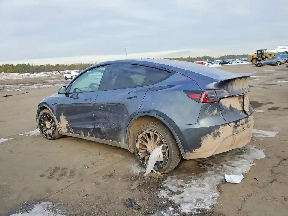 7SAYGDEE3PF850620 2023 TESLA MODEL Y-1