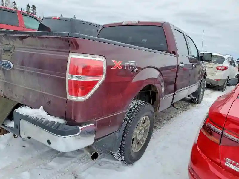1FTFW1E81AFB10549 2010 FORD F-150-2
