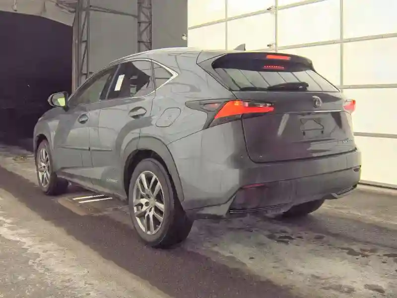 JTJBJRBZ1F2017292 2015 LEXUS NX-2