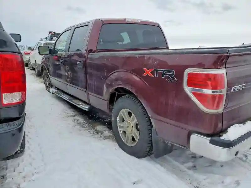 1FTFW1E81AFB10549 2010 FORD F-150-1