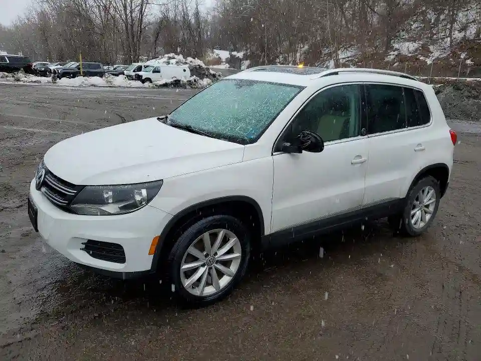 WVGSV7AX6HK013538 2017 VOLKSWAGEN TIGUAN-0