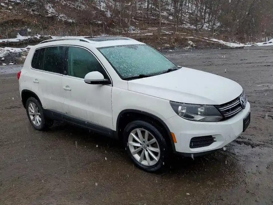 WVGSV7AX6HK013538 2017 VOLKSWAGEN TIGUAN-3