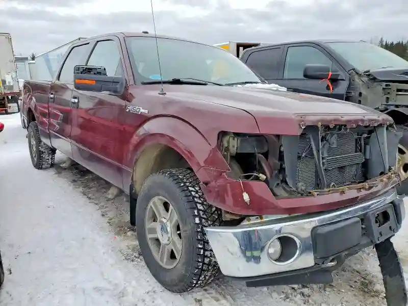 1FTFW1E81AFB10549 2010 FORD F-150-3