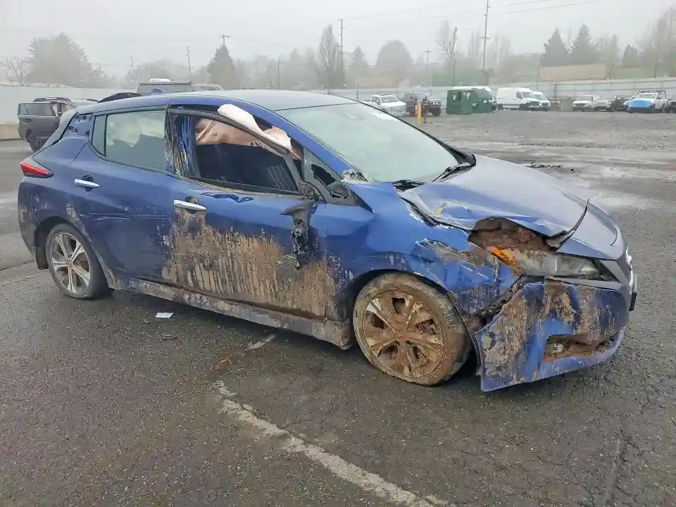 1N4AZ1CP8LC304386 2020 NISSAN LEAF-3