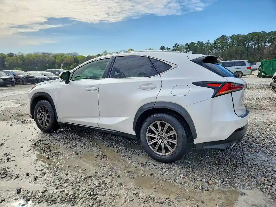 JTJYARBZ3K2131508 2019 LEXUS NX-1