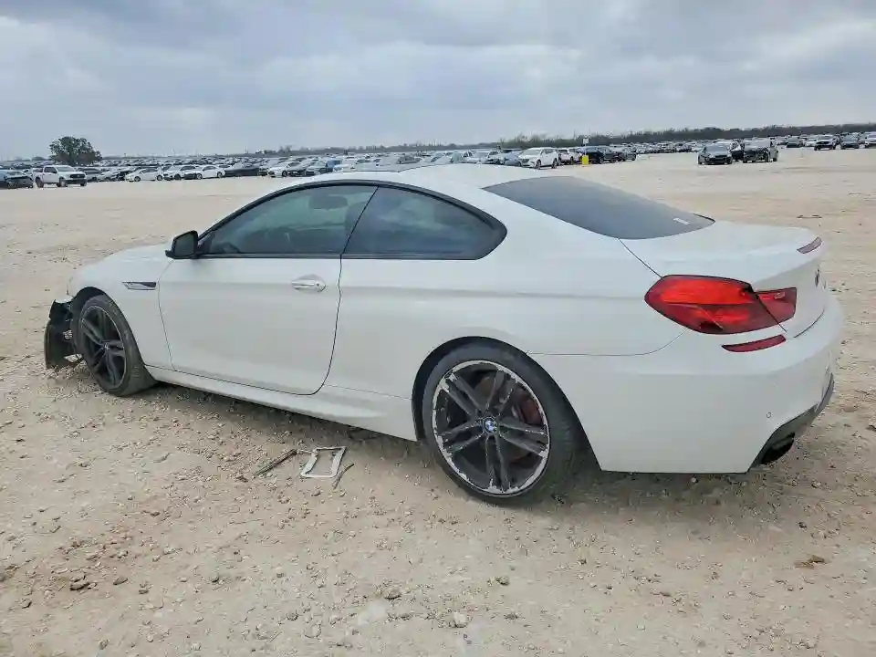 WBAYM9C51ED248225 2014 BMW 6 SERIES-1