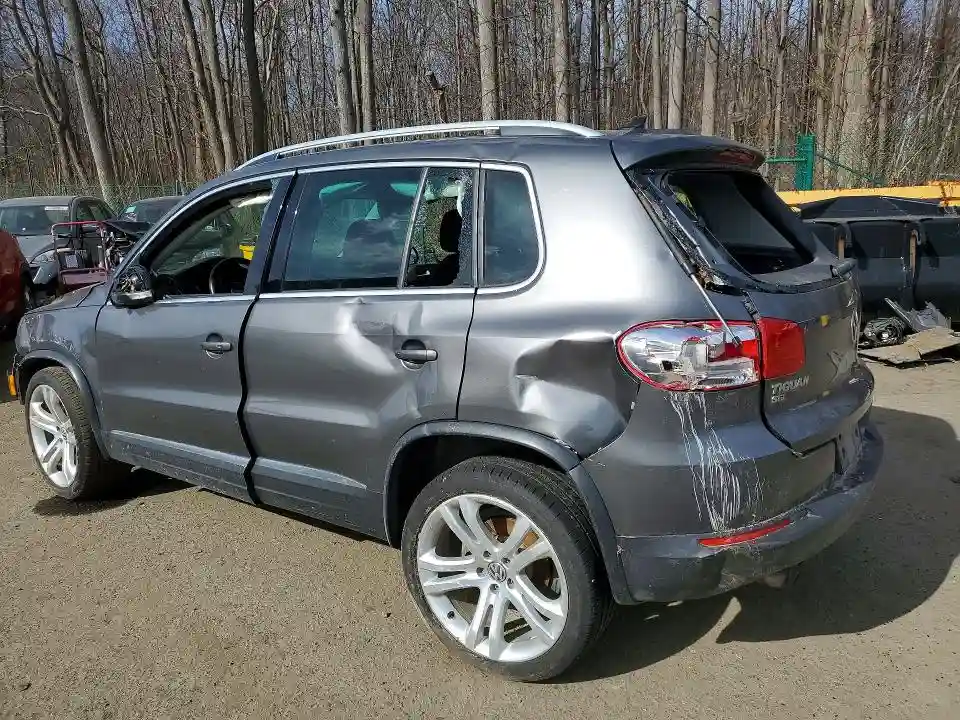WVGBV7AX6GW615380 2016 VOLKSWAGEN TIGUAN-1