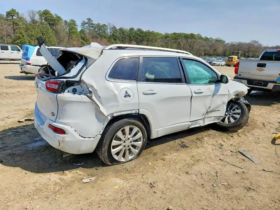 1C4PJMJS9HW618879 2017 JEEP CHEROKEE-2