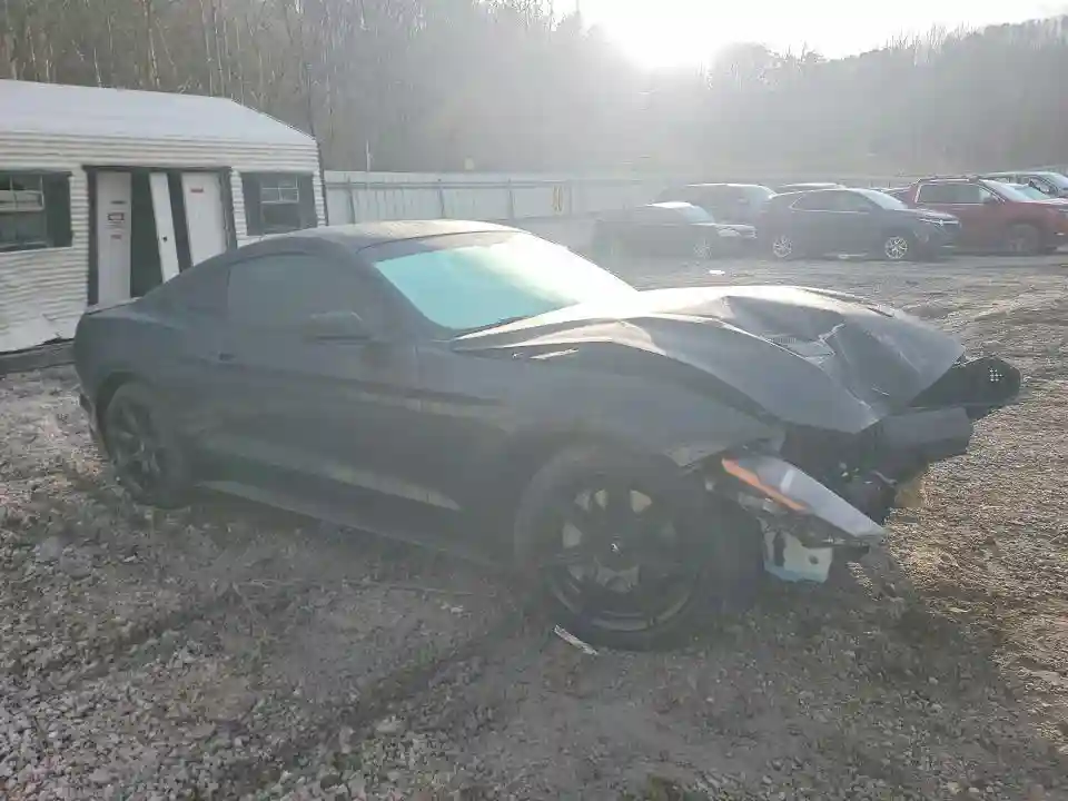 1FA6P8CF3K5203772 2019 FORD MUSTANG-3