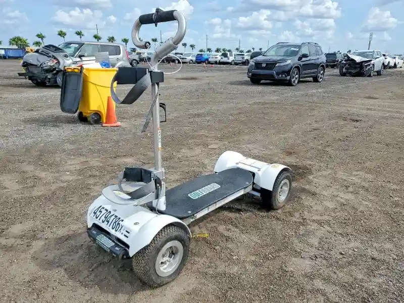 18090268200 2018 GOLF BOARD SCOOTER-1