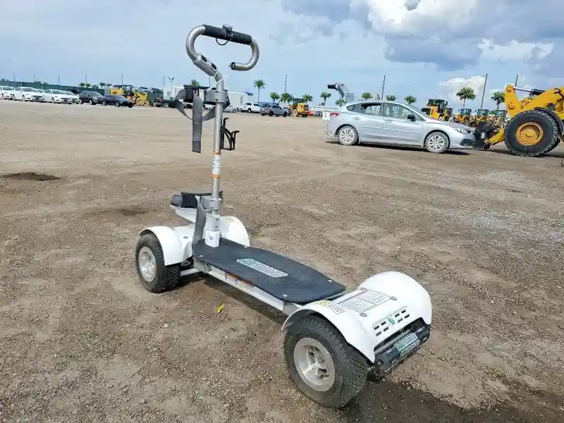 18090268200 2018 GOLF BOARD SCOOTER-2