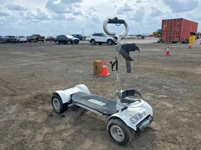 18090268200 2018 GOLF BOARD SCOOTER-0