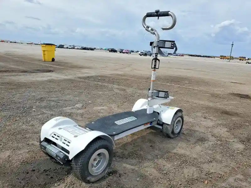 18090268200 2018 GOLF BOARD SCOOTER-3