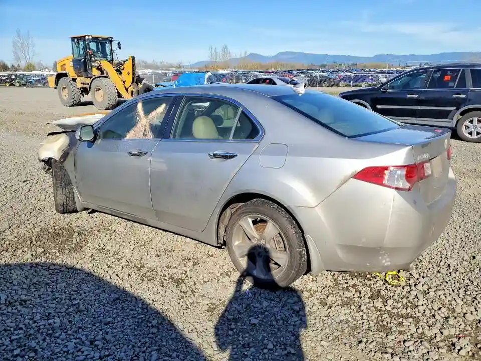 JH4CU2F69AC029438 2010 ACURA TSX-1