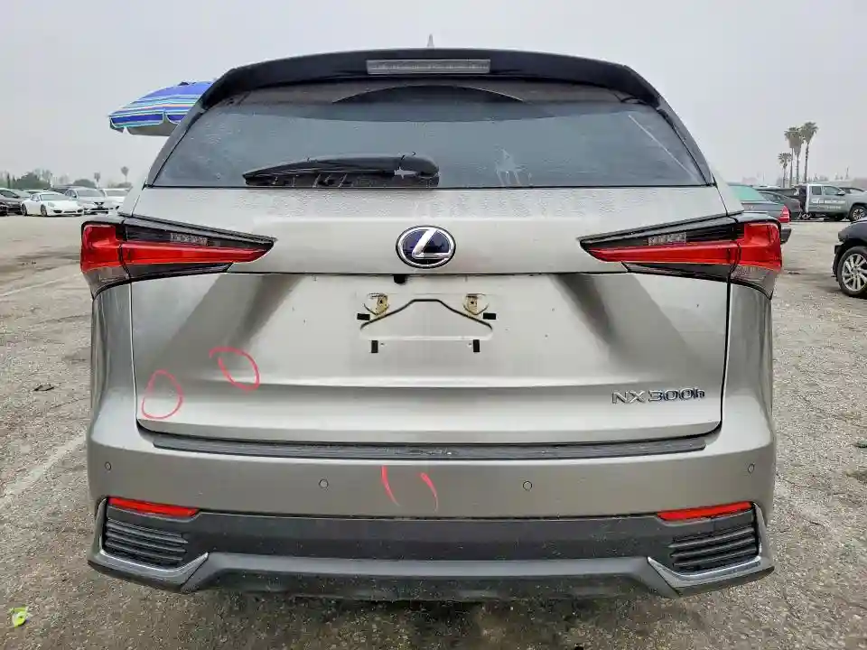 JTJGJRDZXL2143505 2020 LEXUS NX-5