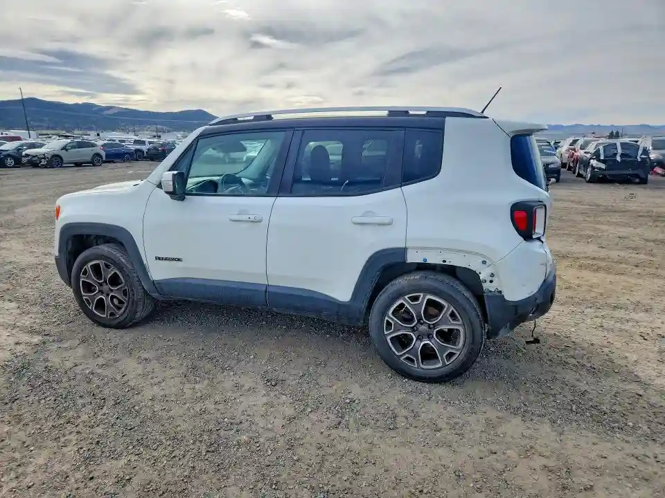 ZACCJBDT9FPB32428 2015 JEEP RENEGADE-1