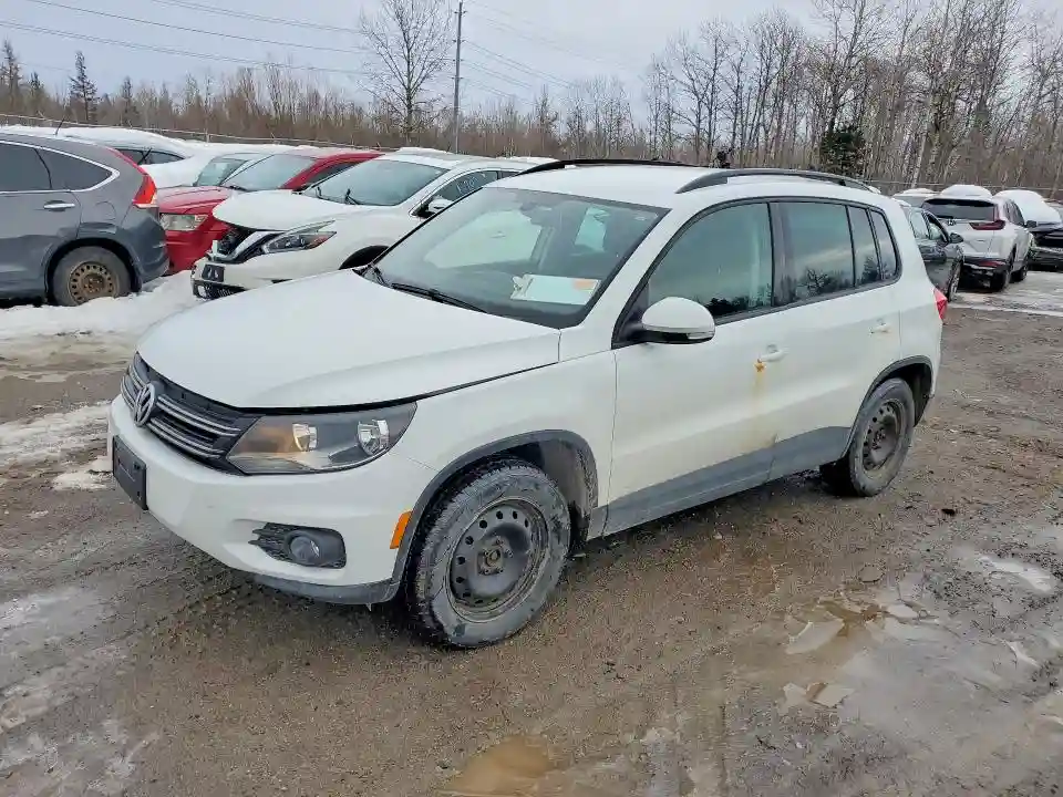WVGJV7AX8GW617997 2016 VOLKSWAGEN TIGUAN-0