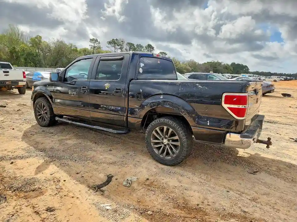 1FTFW1CVXAFA85174 2010 FORD F-150-1