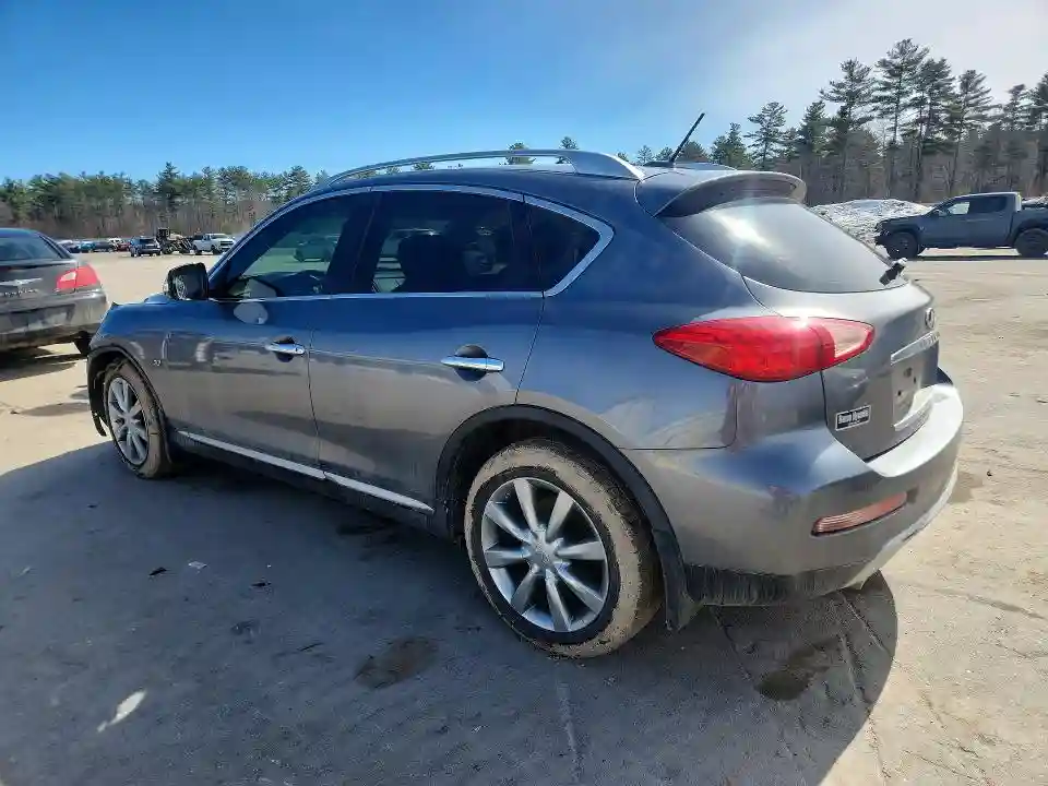 JN1BJ0RRXHM411324 2017 INFINITI QX50 BASE-1