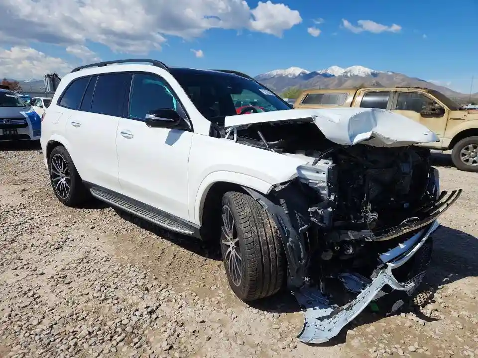 4JGFF5KE3SB356699 2025 MERCEDES-BENZ GLS-CLASS-3