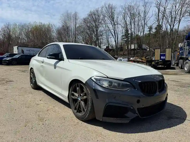 WBA1J9C53GV372181 2016 BMW M2-0