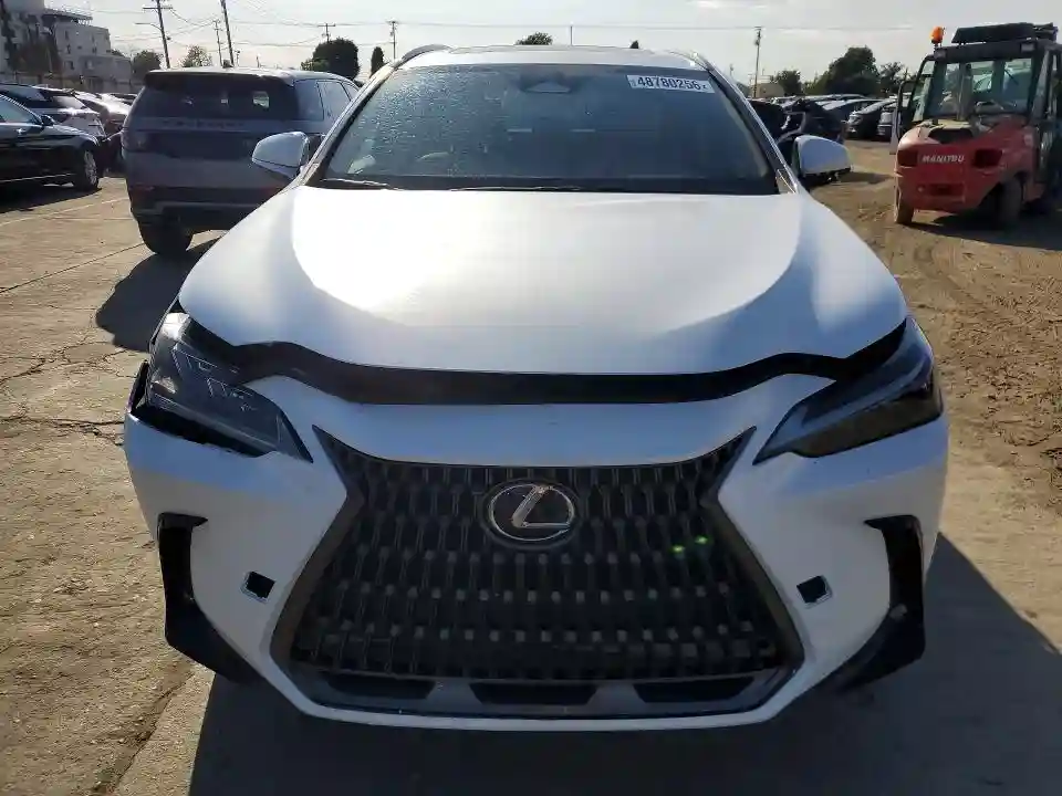 2T2ADCAZ0RC007200 2024 LEXUS NX-4
