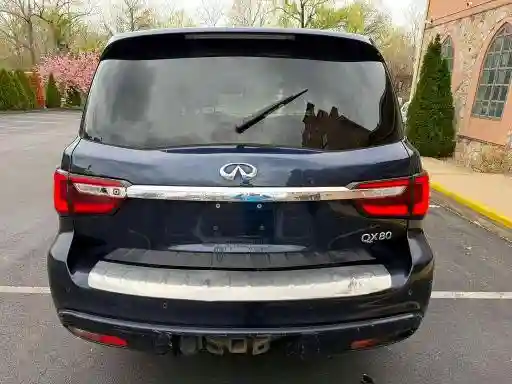 JN8AZ2NFXL9703905 2020 INFINITI QX80-5