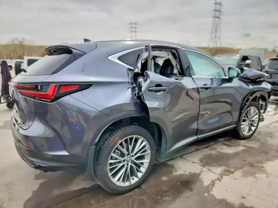 JTJHKCEZ3R2019260 2024 LEXUS NX-2
