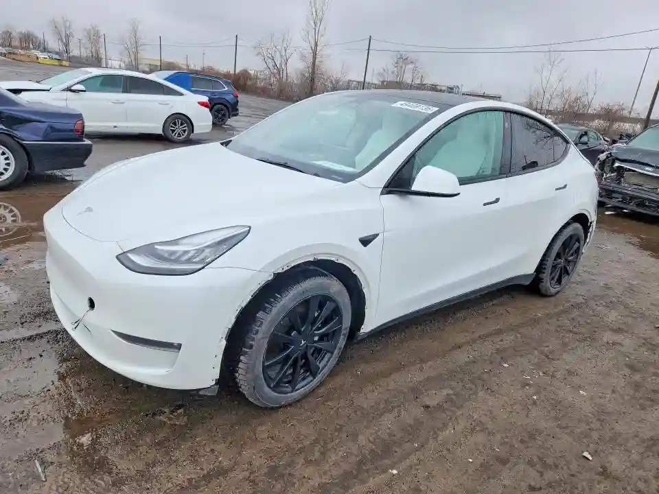 5YJYGDEEXMF293357 2021 TESLA MODEL Y-0