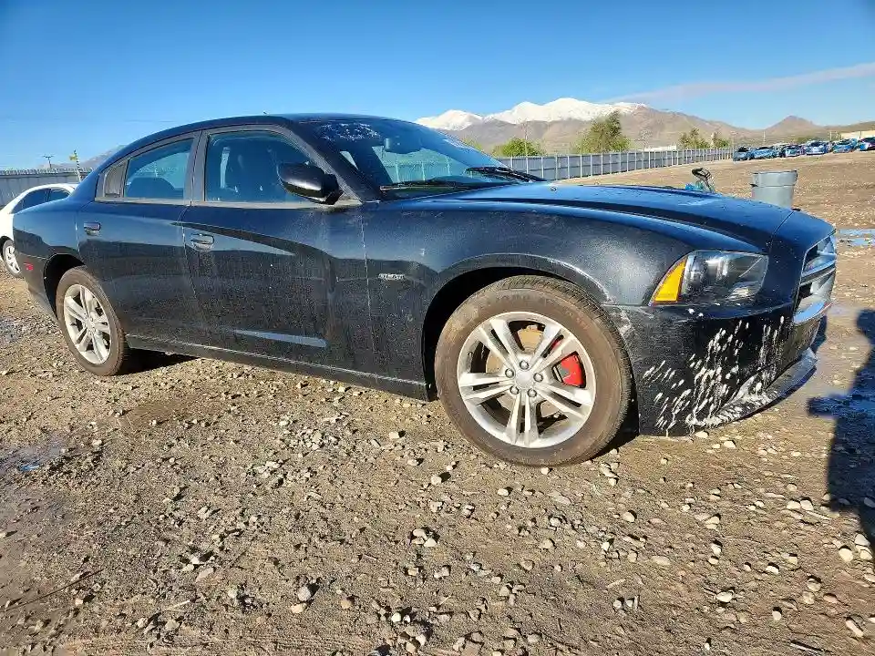 2C3CDXDT1EH278055 2014 DODGE CHARGER R-3