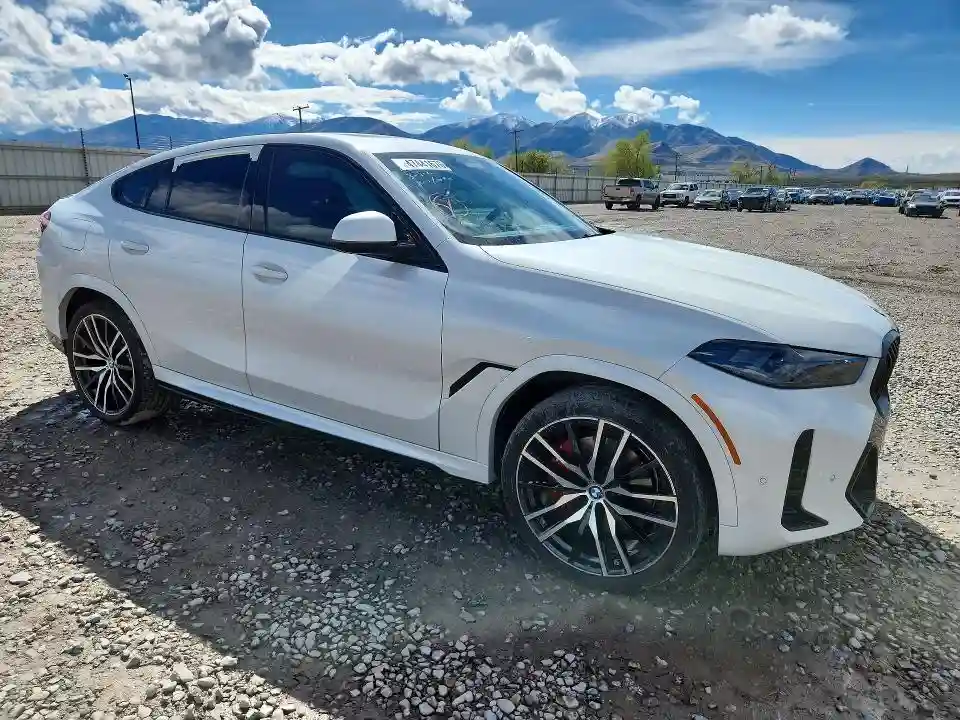 5UX33EX02R9S89218 2024 BMW X6-3