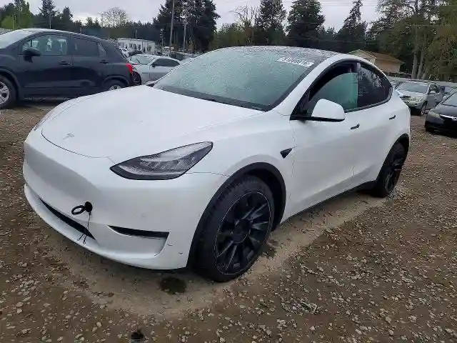 5YJYGDEE5MF097486 2021 TESLA MODEL Y-0