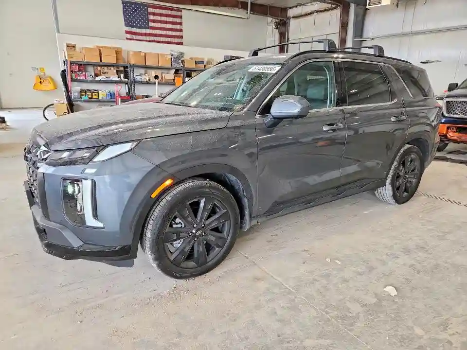 KM8R3DGE0SU934111 2025 HYUNDAI PALISADE-0