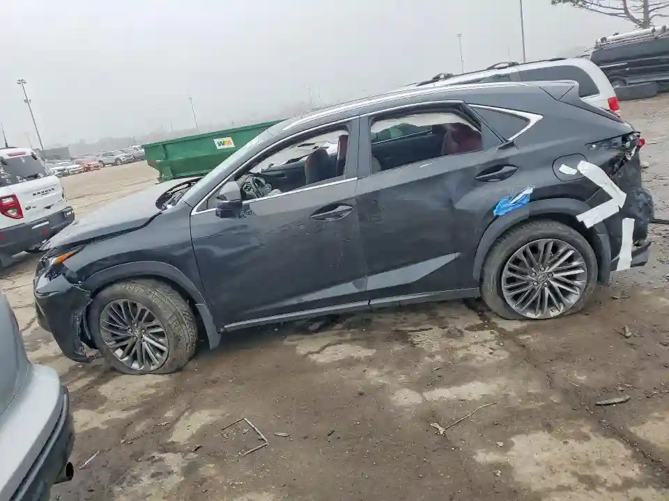 JTJDARDZ5M5031813 2021 LEXUS NX-0