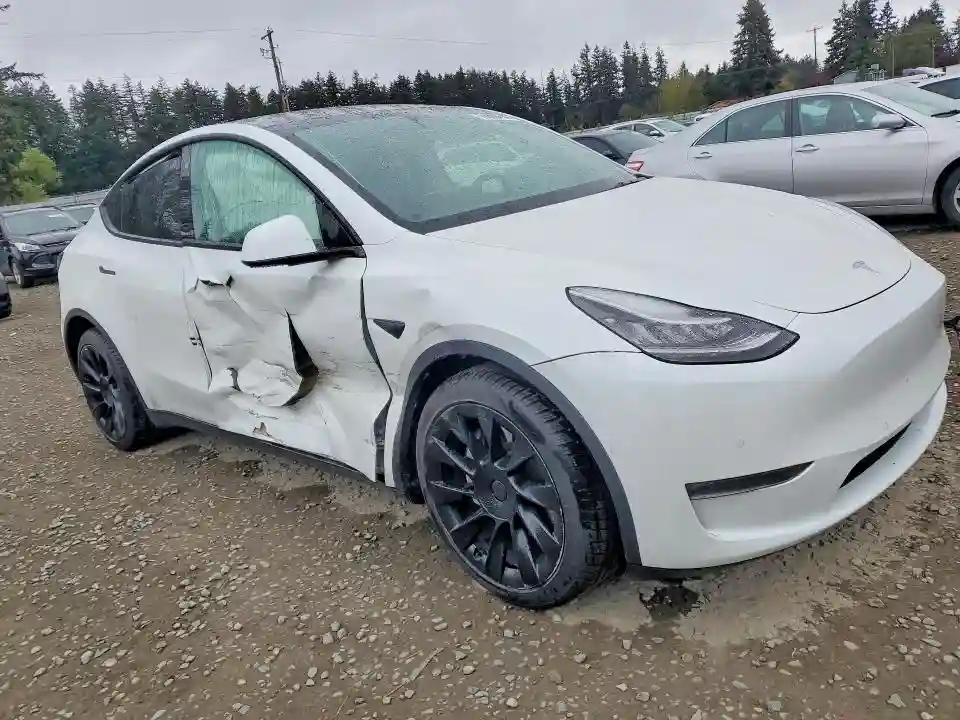 5YJYGDEE5MF097486 2021 TESLA MODEL Y-3