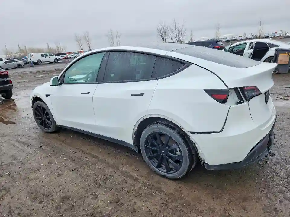 5YJYGDEEXMF293357 2021 TESLA MODEL Y-1