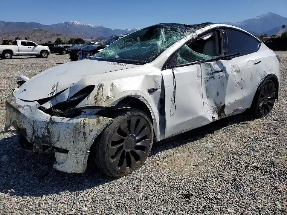 7SAYGDEF9RF072254 2024 TESLA MODEL Y-0