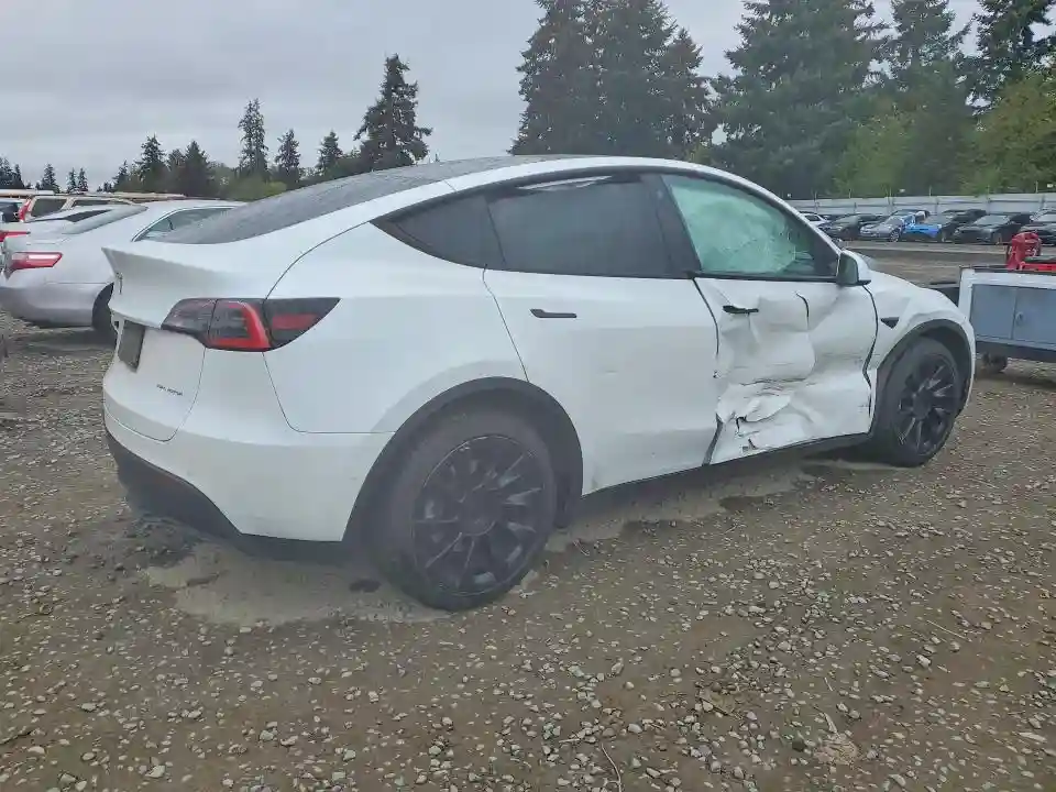 5YJYGDEE5MF097486 2021 TESLA MODEL Y-2