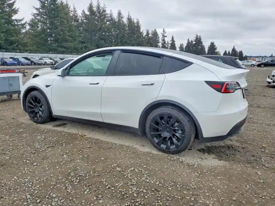 5YJYGDEE5MF097486 2021 TESLA MODEL Y-1