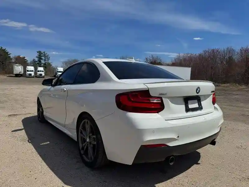 WBA1J9C53GV372181 2016 BMW M2-2