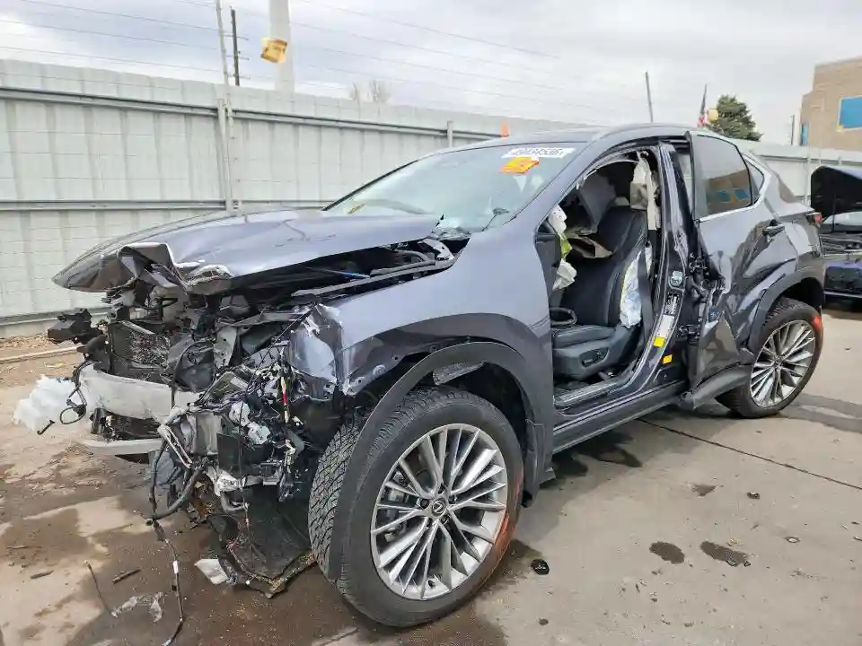 JTJHKCEZ3R2019260 2024 LEXUS NX-0