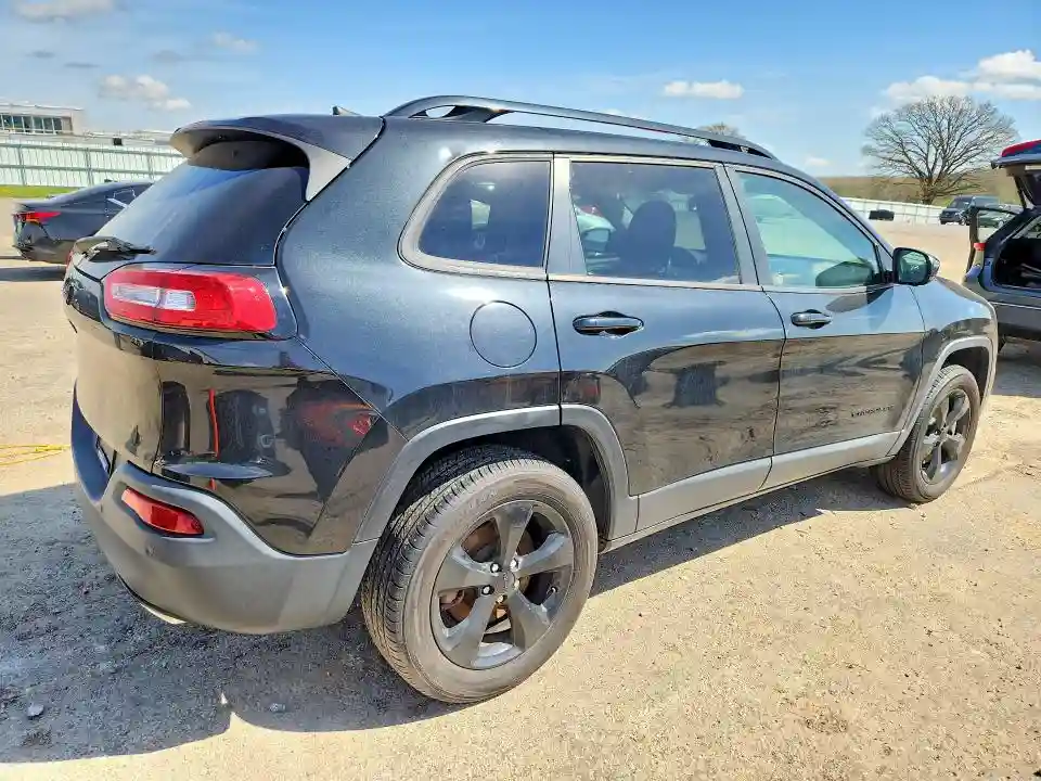 1C4PJMCS9GW226089 2016 JEEP CHEROKEE-2